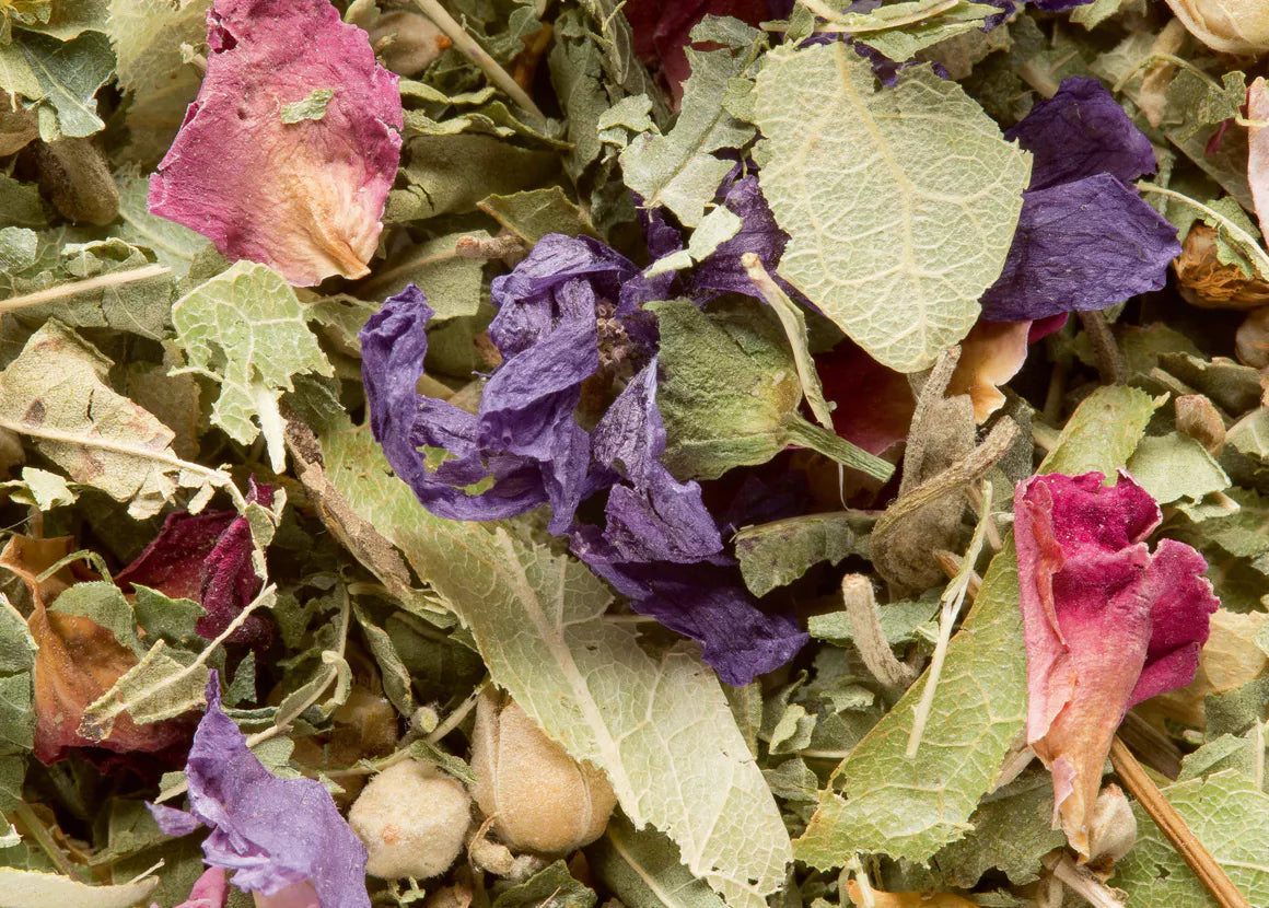 Infusion des Merveilles