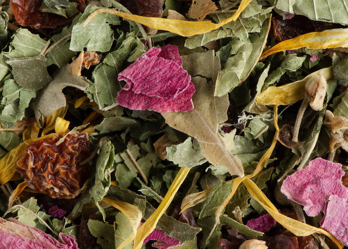 Infusion Nuit à Versailles